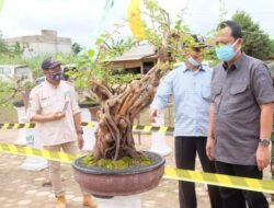 Wakil Bupati Bambang Bayu Suseno Resmi Buka Pameran dan Kontes Bonsai Lokal