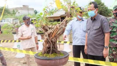 Wakil Bupati Bambang Bayu Suseno Resmi Buka Pameran dan Kontes Bonsai Lokal