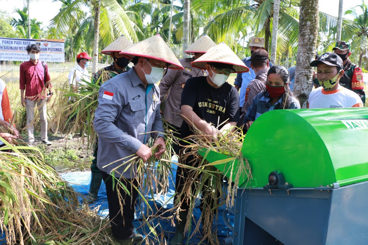 Panen Padi Raya