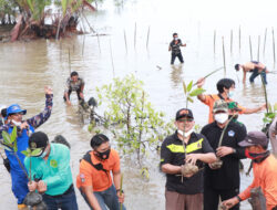 Peduli Lingkungan, Bupati Anwar Sadat Bersama TNI-Polri Lakukan Penanaman Mangrove