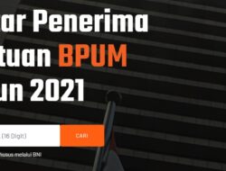 Begini Cara Cek Penerima BLT UMKM di BNI