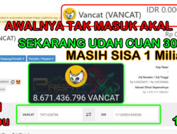 VANCAT Token: Dari 800 Ribu jadi 11 Juta, Masih Sisa Satu Miliar VANCAT!