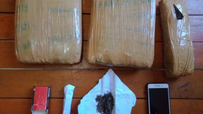 Polres Tebo Ringkus Bandar Ganja Lintas Daerah