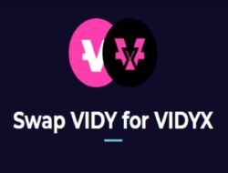 Vidy Luncurkan Program Swap Resmi, Dalam 2 Bulan Bisa Untung 400%