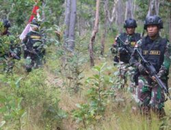 TNI Baku Tembak dengan KKB di Ilaga Papua, Satu Anggota KKB Tewas