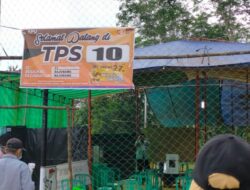 PSU Pilgub Jambi, Azizah PAN Turun Jadi Saksi di TPS 10 Kelurahan Bajubang