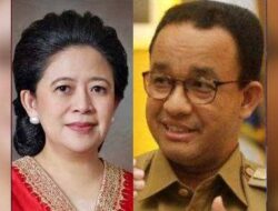 Soal Wacana Puan-Anis Nasdem Mendukung, PDIP: Megawati yang Putuskan