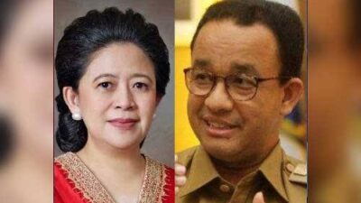 Soal Wacana Puan-Anis Nasdem Mendukung, PDIP: Megawati yang Putuskan