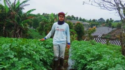 Si Anak Kampung Memilih Tekad Membangun Sekepal Tanah Surga