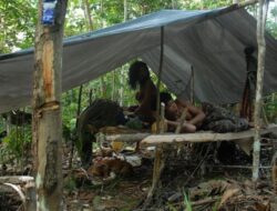 Kisah Orang Rimba Simpan Uang Rp 1,5 Miliar dalam Tanah, Hendak Menabung di Bank Eh Ditolak