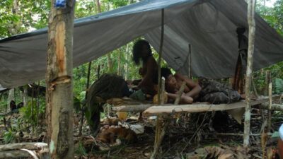 Kisah Orang Rimba Simpan Uang Rp 1,5 Miliar dalam Tanah, Hendak Menabung di Bank Eh Ditolak