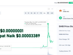 SHIBA INU: Pernah Naik 3.000 Persen, Kini Turun. Cocok untuk Investasi?