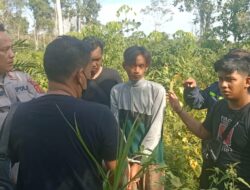 Pembunuh Wanita yang Ditemukan Setengah Telanjang di Tebo Ditangkap