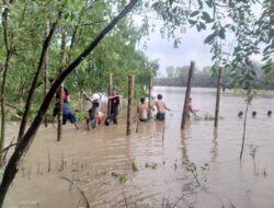 Potensi Desa Wisata Mangrove di Tanjungjabung Timur