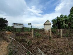 Kawasan Perumahan SAD Beralih Fungsi Menjadi Kebun Sawit