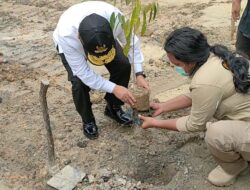 Gubernur Bersama Kajati Jambi Menanam Bibit Pohon Endemik di Kawasan Kelola Khusus MHA SAD