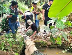 Meresahkan, 11 Ekor Buaya Peliharaan Warga Muarojambi Berhasil Dievakuasi