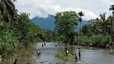 Mengambil Ikan di Lubuk Larangan, Tradisi Lokal Warga Kampung Lubuk Karak