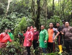 Ladang Ganja Setengah Hektare Ditemukan di Kaki Gunung Kerinci