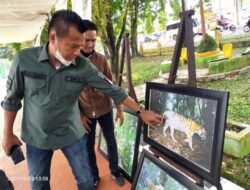 Kunjungi Pameran Lukisan, Ini Pesan Hasbi Anshory