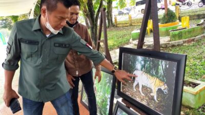 Kunjungi Pameran Lukisan, Ini Pesan Hasbi Anshory