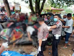 Bus Famili Raya Tabrak Pickup di Jl Lintas Sumatera, 4 Orang Tewas di Tempat