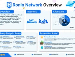 RON Token dari Ronin Network, Profit 1000x Seperti AXS?