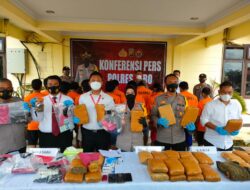 Polres Tebo Amankan 16 Tersangka dan Barang Bukti 31 Kilogram Ganja