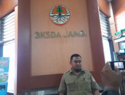 Seorang Pria Meninggal Usai Diterkam Harimau, Kepala Seksi BKSDA Imbau Warga Berhati-hati