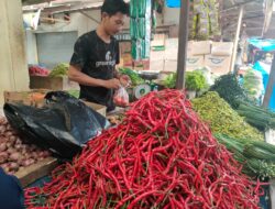 Jelang Ramadan, Harga Daging Sapi dan Telur Ayam Naik, Daging Ayam dan Cabe Merah Stabil