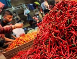 Tak Mau Kalah, Harga Cabai Merah di Kota Medan Juga Semakin Pedas