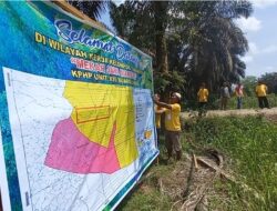 Kuasai Kebun Sawit di Kawasan Hutan, Kelompok Tani Minta Kriston Agro Diusir