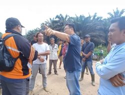 Kebun Sawit di Kawasan Hutan, Kriston Agro: Silakan Adukan ke Kementerian dan Pengadilan