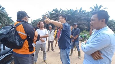 Kebun Sawit di Kawasan Hutan, Kriston Agro: Silakan Adukan ke Kementerian dan Pengadilan