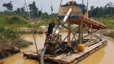 Bukan Main! Setelah Diteliti 2 Kabupaten di Jambi Ternyata Punya Cadangan Emas, Saat Ini Lelang Wilayah Sedang Berproses