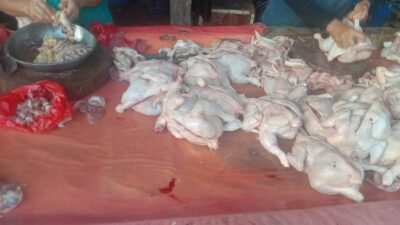 Update Harga Daging Ayam Potong Terkini di Pasar Simpang Pulai 2 November 2022