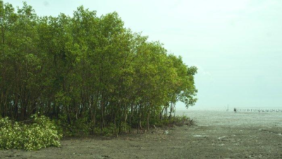 Langkah Serius Gakkum KLHK Lindungi Hutan Dan Lingkungan Hidup: Terbitkan 2.446 Hukuman Administratif