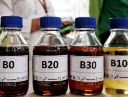 Perintah Joko Widodo, Alokasi Biodiesel 2023 Naik Jadi 13,15 Juta Untuk B35