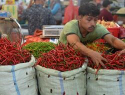 Harga Cabai Hingga Minyak Curah di Makassar Naik Jelang Nataru