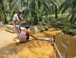 Inspektorat Batanghari Kerahkan Tim Guna Periksa Seluruh Pembangunan di Desa Sungkai