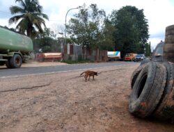 Lancar Jaya Gudang ‘Kencing’ CPO Milik Hr di Sudut Kota Jambi