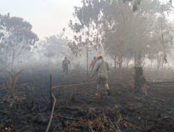 Lokasi Seismik PetroChina Terbakar, Diduga Akibat Kelalaian