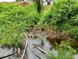 Limbah Pabrik PT Sumber Guna Nabati Diduga Dibuang ke Sungai Retik, Ekosistem Jadi Rusak