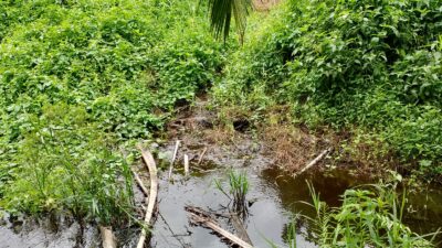 Limbah pabrik PT SGN yang mengalir ke parit warga dan masuk ke Sungai Retik. (DETAIL/Daryanto)